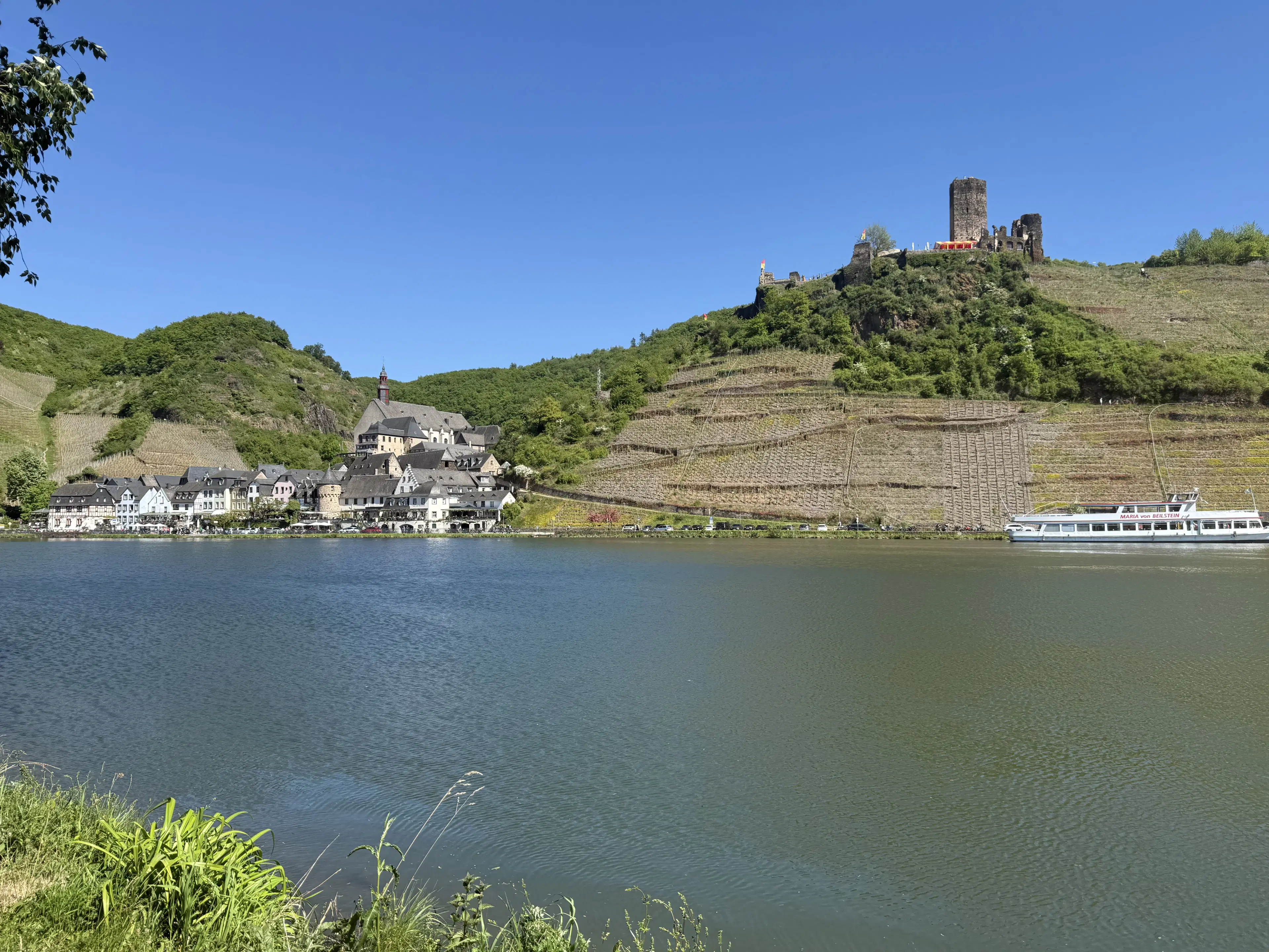 Voormalig wijngaardperceel van 2.958 m² in Zell, Cochem - Duitsland