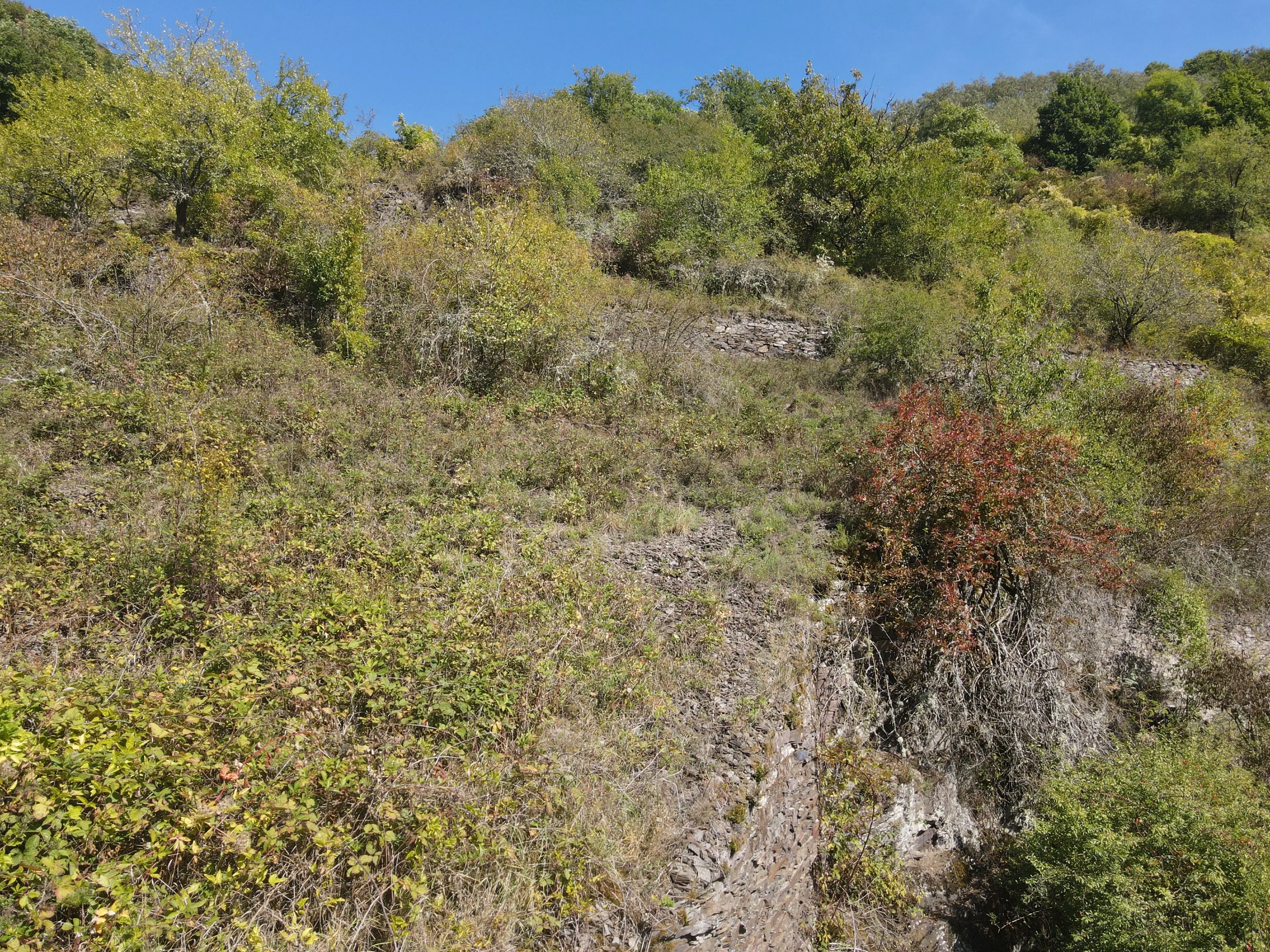 1.023 m² perceel nabij Cochem Centrum - Duitsland