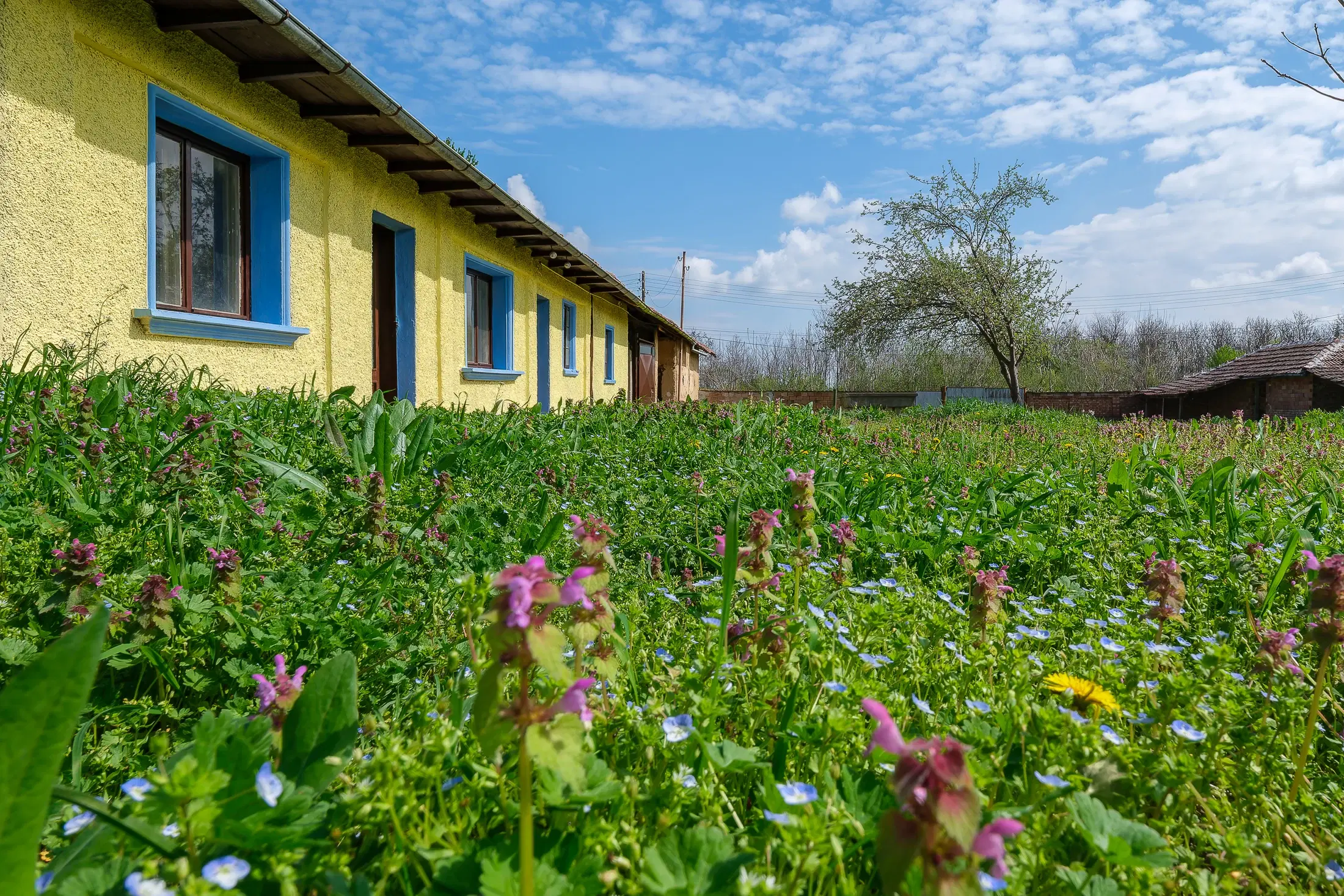 Perceel van 2.090 m² + Gezinswoning + Bijgebouwen - Karaisen, Veliko Tarnovo - Bulgarije