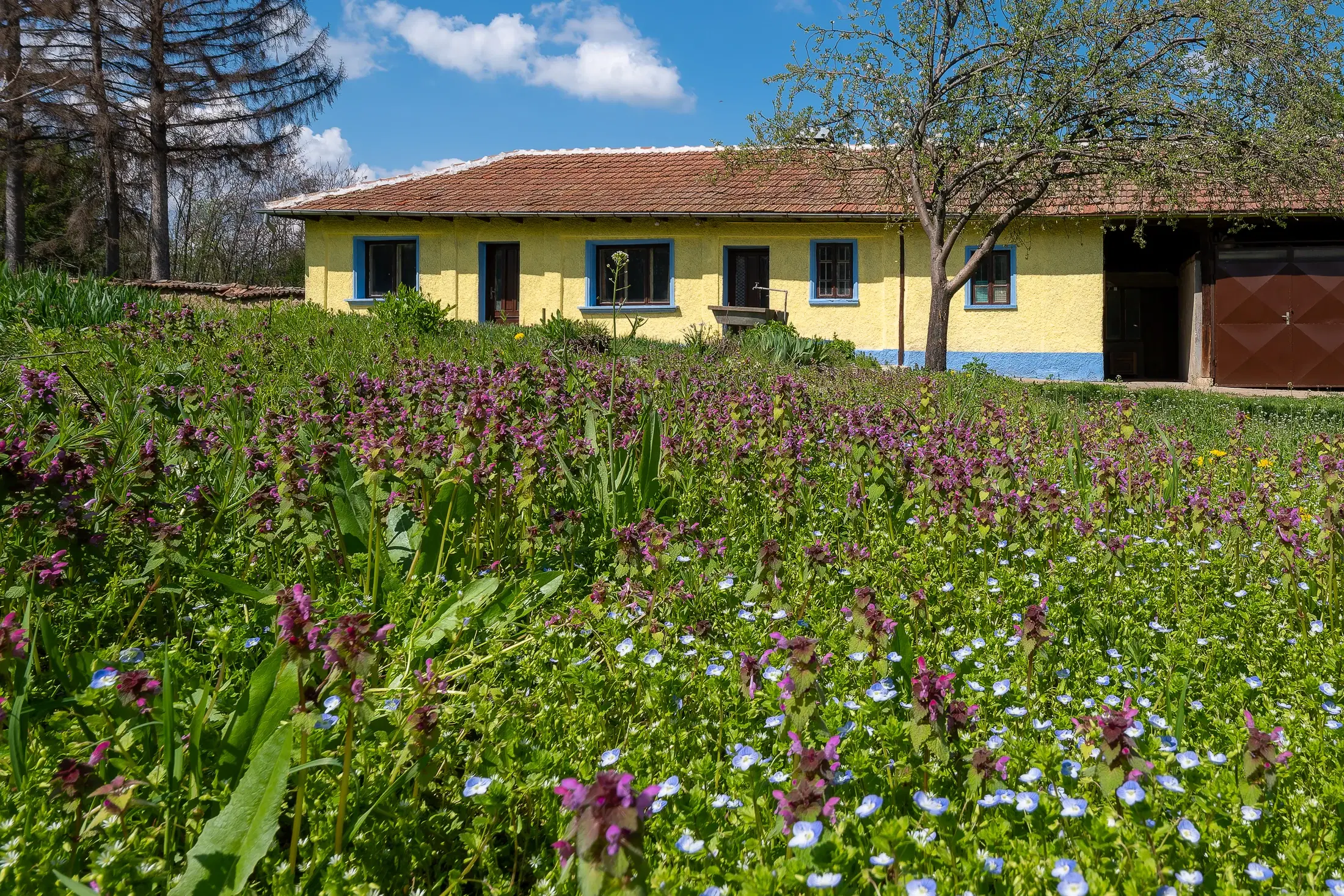 Perceel van 2.090 m² + Gezinswoning + Bijgebouwen - Karaisen, Veliko Tarnovo - Bulgarije