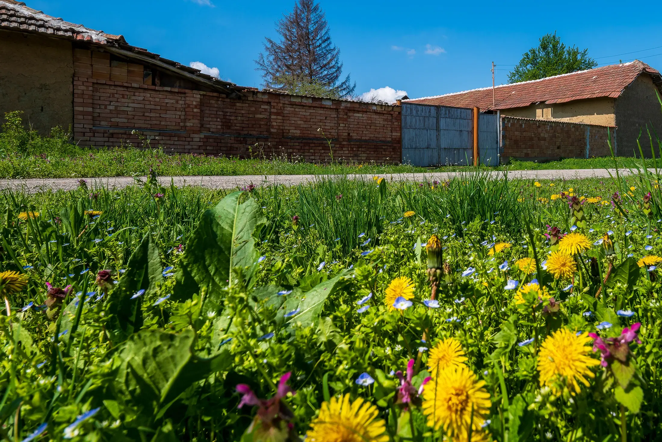 Perceel van 2.090 m² + Gezinswoning + Bijgebouwen - Karaisen, Veliko Tarnovo - Bulgarije