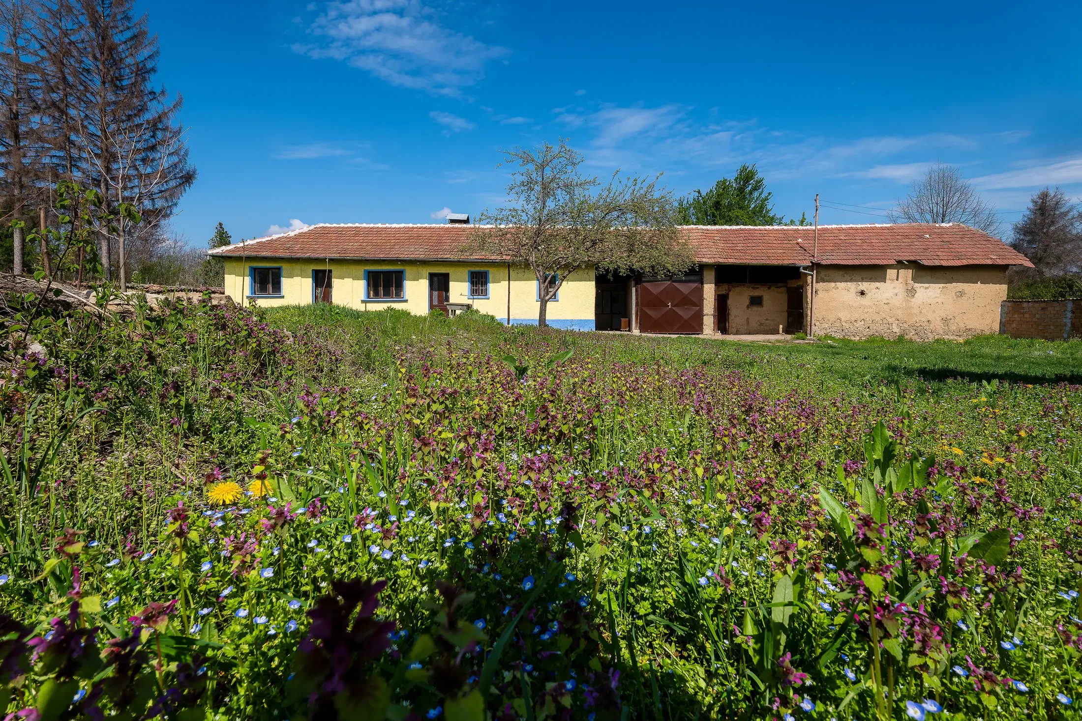 Perceel van 2.090 m² + Gezinswoning + Bijgebouwen - Karaisen, Veliko Tarnovo - Bulgarije