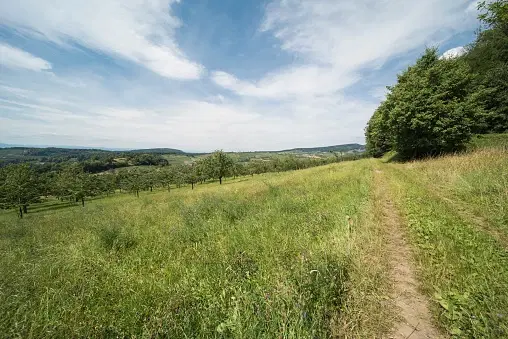 Landbouwgrond - Tolovitsa, regio Vidin - Bulgarije
