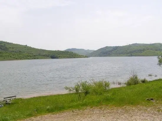 Landbouwgrond - Tolovitsa, regio Vidin - Bulgarije