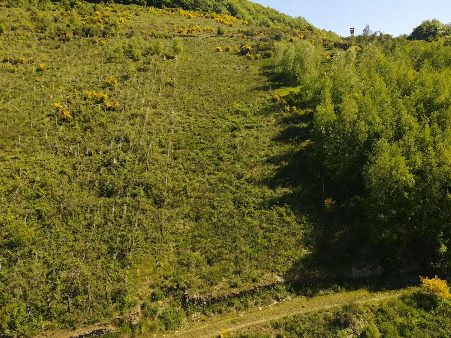 Voormalig wijngaardperceel van 1.688 m² in Zell, Cochem - Duitsland