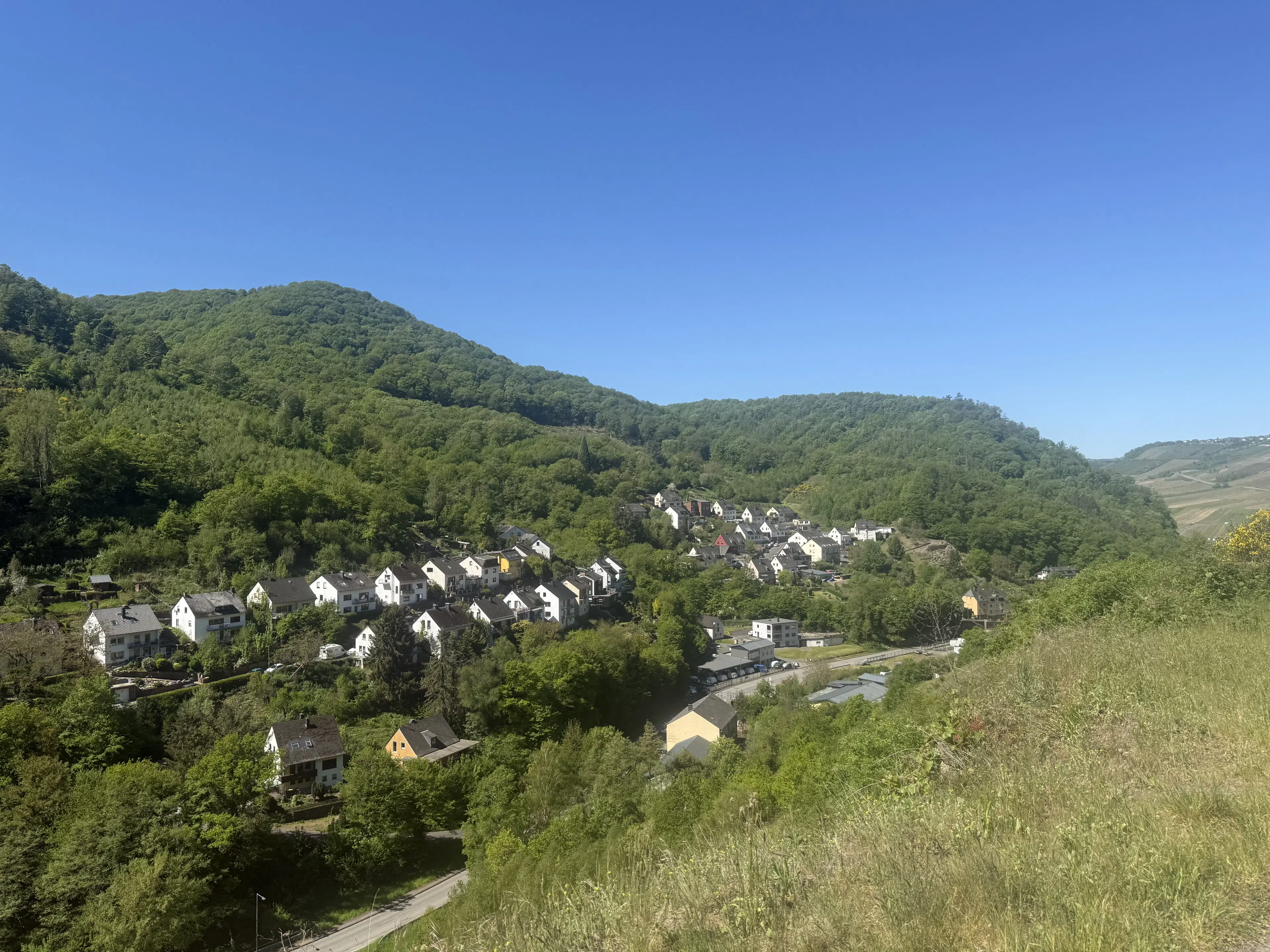 Voormalig wijngaardperceel van 1.688 m² in Zell, Cochem - Duitsland