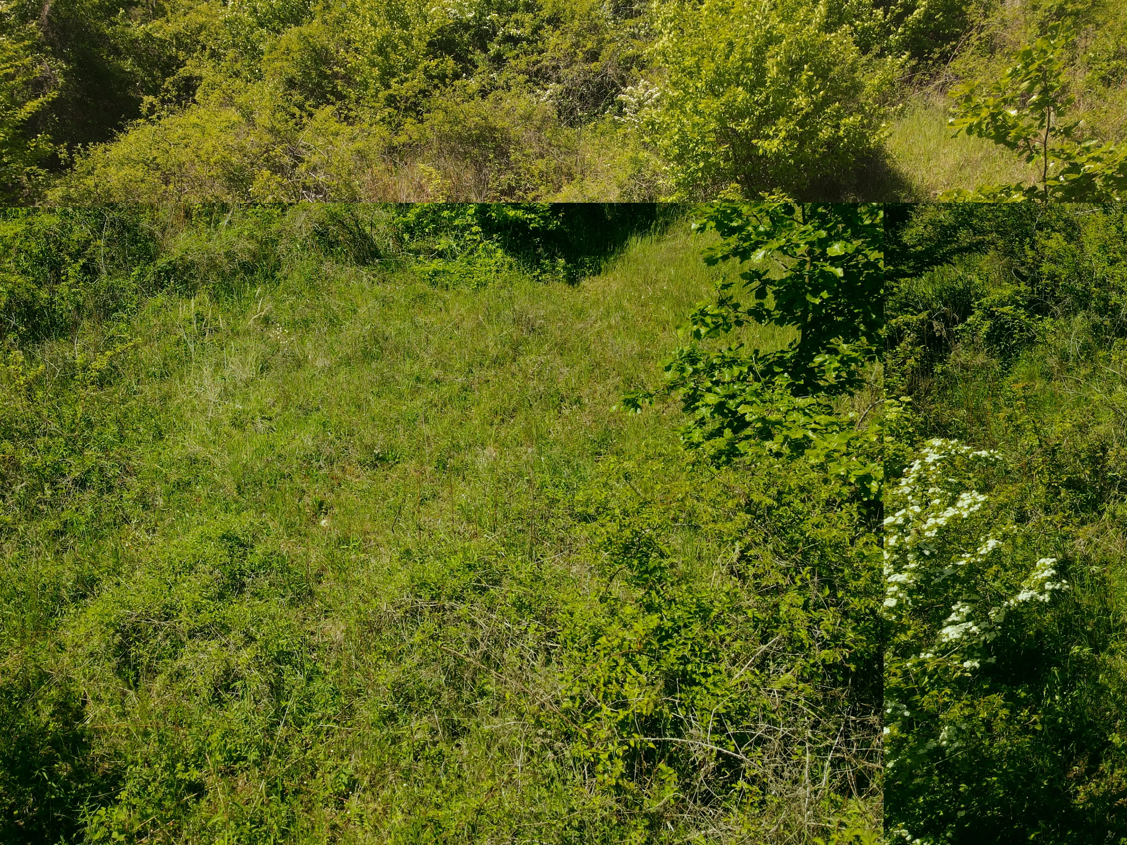 Recreatieperceel van 1.679 m² nabij Cochem - Duitsland